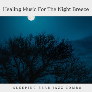 Healing Music For The Night Breeze