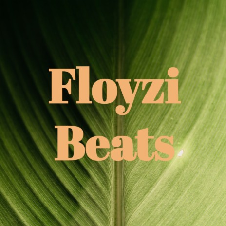 Floyzi Beats