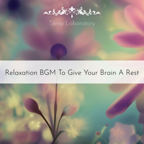 Miracle Relaxation | Boomplay Music