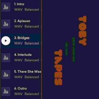 Bridges lyrics | Boomplay Music