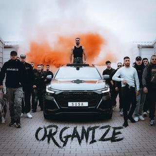 ORGANIZE