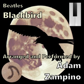 Blackbird