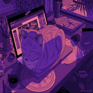 Latin Lofi Bossanova Beats