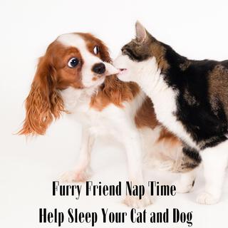 Furry Friend Nap Time: Help Sleep Your Cats and Dogs