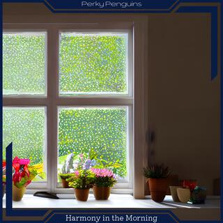 Harmony in the Morning