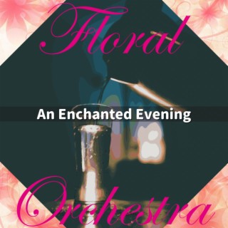 An Enchanted Evening