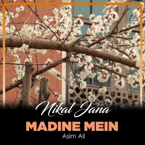 Nikal Jana Madine Mein | Boomplay Music