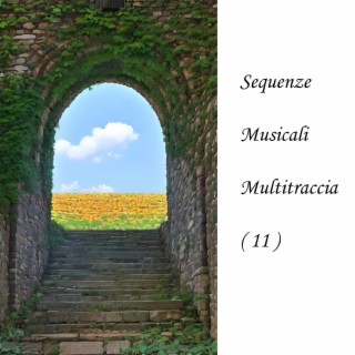 Sequenze Musicali Multitraccia (11)