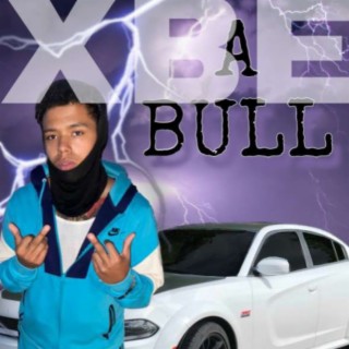 I'm a Bull