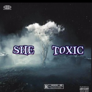 She Toxic lyrics | Boomplay Music