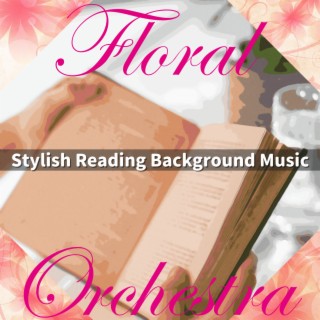 Stylish Reading Background Music