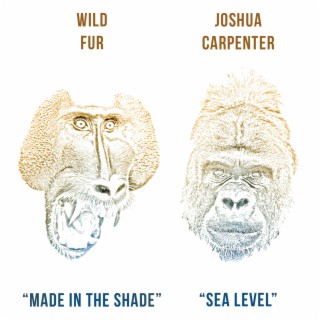 Wild Fur / Joshua Carpenter