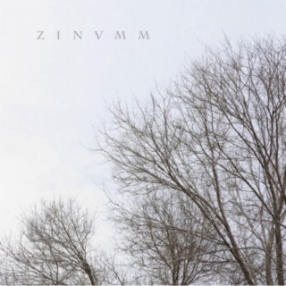 ZINVMM