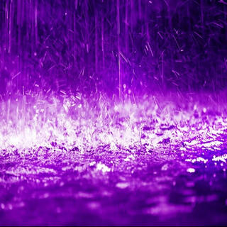 Purple Rain