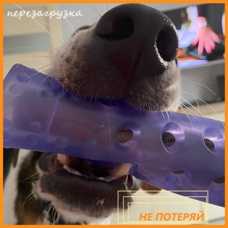 Не потеряй