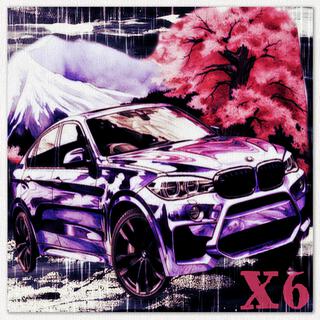 X6