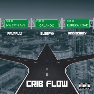 Crib Flow ft. SleepyK & FRVRAlvi lyrics | Boomplay Music