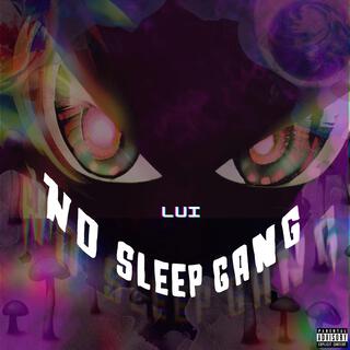 No Sleep Gang lyrics | Boomplay Music