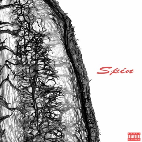 Spin ft. cl1qka | Boomplay Music