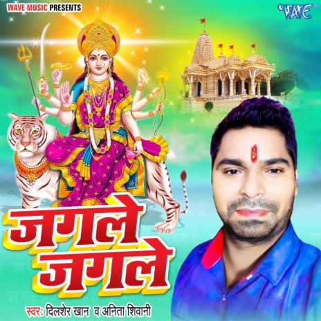 Jagle Jagle ft. Anita Shivani | Boomplay Music