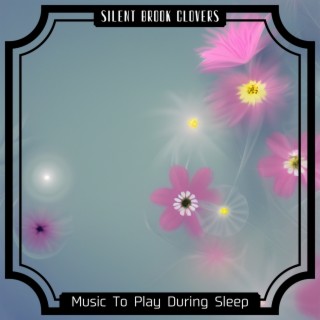 Music To Play During Sleep