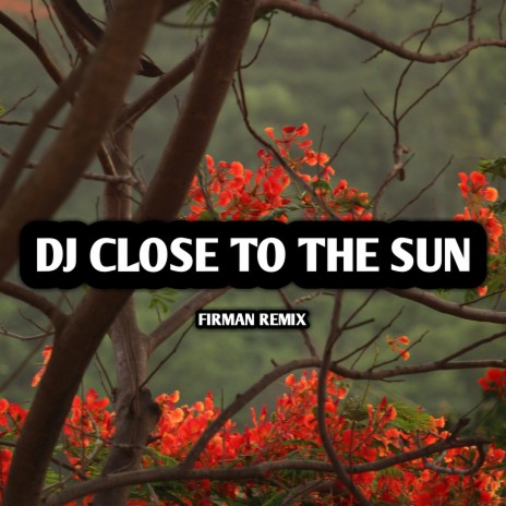 Dj Close to the Sun (Remix) | Boomplay Music