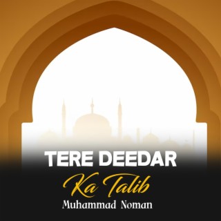 Tere Deedar Ka Talib