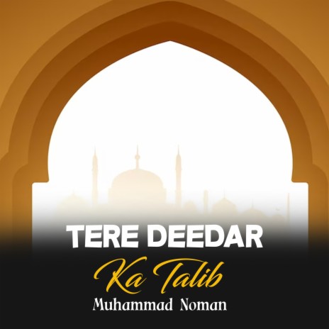 Tere Deedar Ka Talib | Boomplay Music