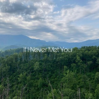 If I Never Met You lyrics | Boomplay Music