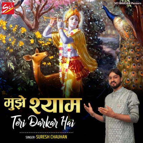 Mujhe Shyam Teri Darkar Hai | Boomplay Music
