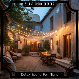 Detox Sound For Night