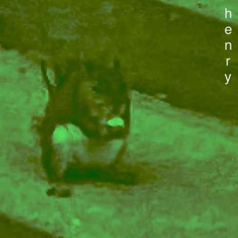henry | Boomplay Music