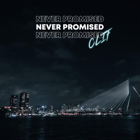 Never Promised | Boomplay Music