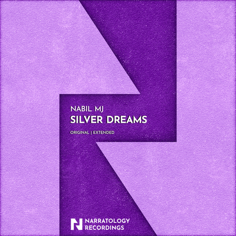 Silver Dreams (Extended Mix) | Boomplay Music