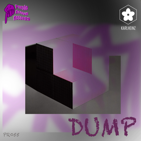 Dump | Boomplay Music