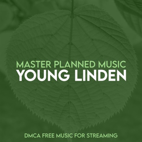 Young Linden | Boomplay Music