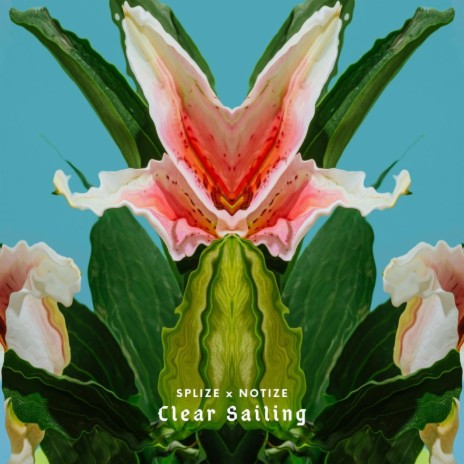 Clear Sailing ft. Notize | Boomplay Music