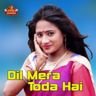 Dil Mera Toda Hai