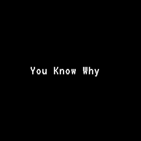 You Know Why | Boomplay Music