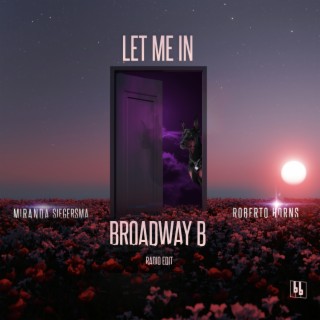 Let Me In (Radio Edit) ft. Miranda Siegersma & Roberto Horns lyrics | Boomplay Music