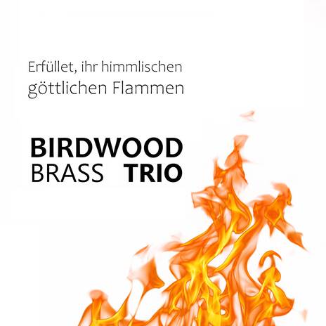 BWV 1 - Aria: Erfüllet, ihr himmlischen göttlichen Flammen (Live from 2019) ft. Birdwood Brass Trio | Boomplay Music