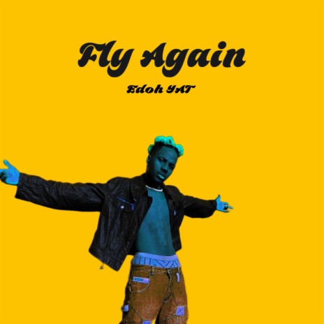 Fly Again | Boomplay Music