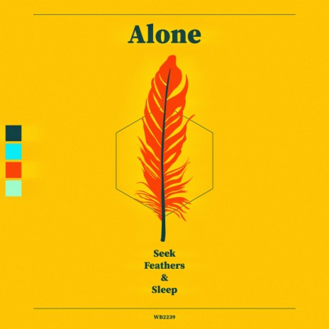 Seek Feathers & Sleep | Boomplay Music