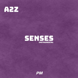 Senses