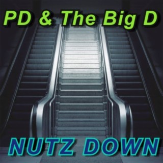 Nutz Down