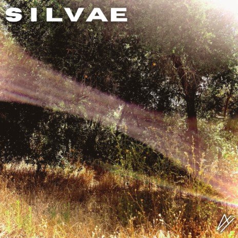 SILVAE | Boomplay Music