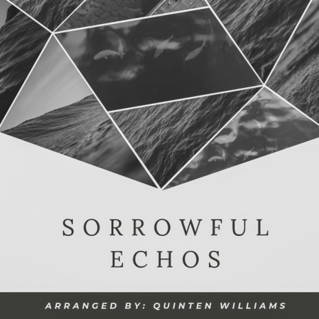 Sorrowful Echos | Boomplay Music