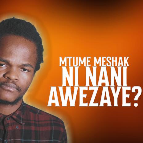 NI NANI AWEZAYE? | Boomplay Music