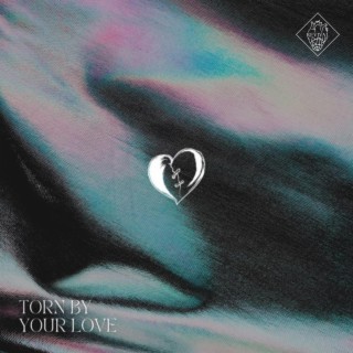Torn By Your Love lyrics | Boomplay Music