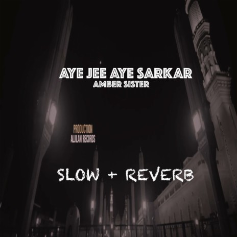 Aye Jee Aye Sarkar | Boomplay Music